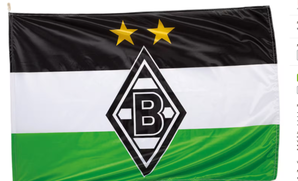 Borussia Mönchengladbach - Hissfahne 'Logo' 250x150cm